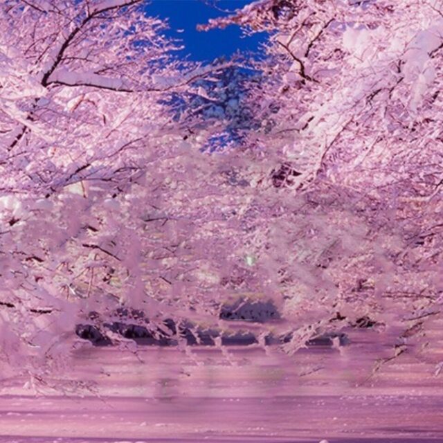 近くてたのしい世界遺産。高尾山