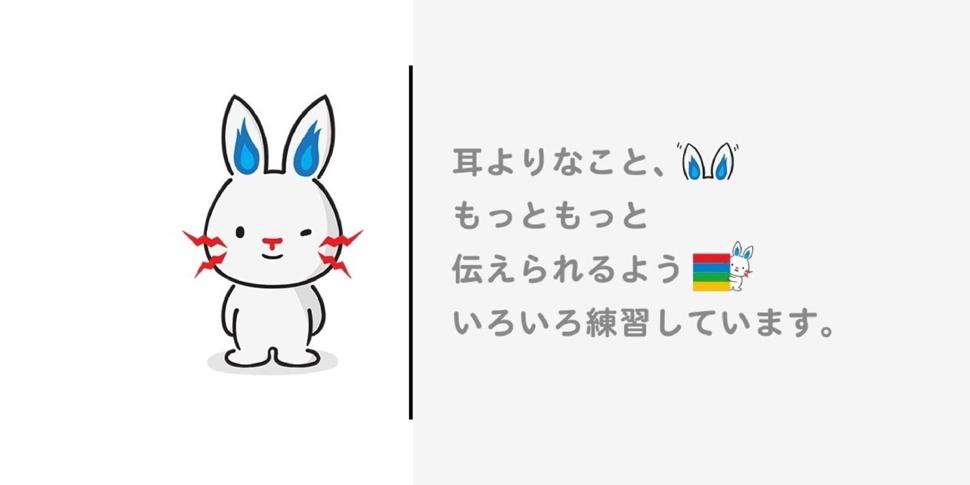 TEPCO テプコン