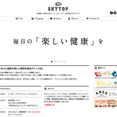 Skytop WEB